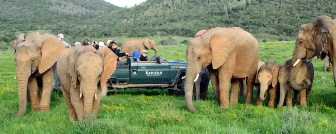 Kariega Game Reserve - River Lodge-1